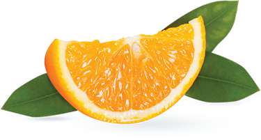 home-arancia-